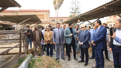  محافظ كفر الشيخ يتفقد المركز الدولي للتلقيح الصناعي بـ