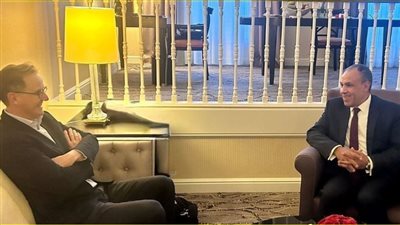 وزير الخارجية يلتقى مع مدير عام مشروعات الربط الكهربائي بشركة 