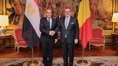 وزير الخارجية يلتقي نظيره البلجيكي.. تفاصيل