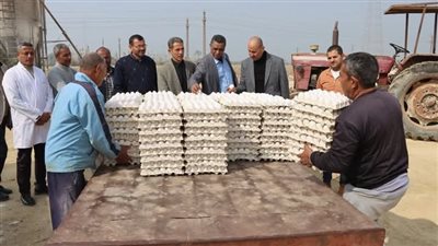 سكرتير بني سويف يتفقد منظومة العمل بمشروعات الدواجن المركزية شرق النيل