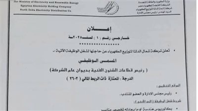  كهرباء شمال الدلتا تعلن عن وظيفة شاغرة.. تفاصيل