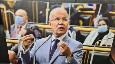 النائب السيد شمس الدين : قرار السيسى بالإفراج عن 4466 أسعد كل المصريين