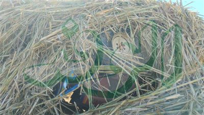 مصرع شخص أثراتقلاب جرار قصب بمركز نصر النوبه باأسوان