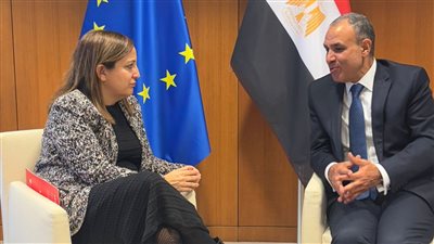 وزير الخارجية يلتقى مع رئيسة مجموعة الاشتراكيين والديمقراطيين بالبرلمان الأوروبى