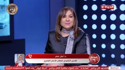 الهلال الأحمر: الدبلوماسية المصرية نجحت بشكل كبير في إدخال المساعدات إلى غزة