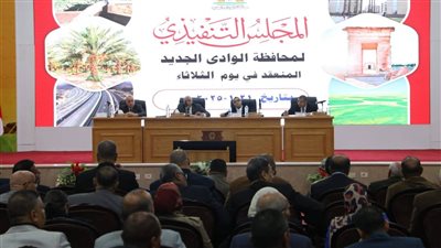 محافظ الوادي الجديد يشهد اجتماع المجلس التنفيذي بالعاصمة الإدارية