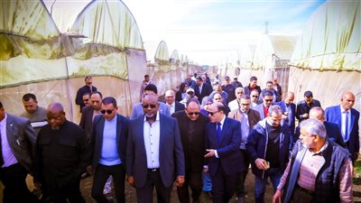 مصر ونيجيريا.. شراكة زراعية في طور التوسع