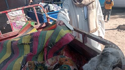 ضبط تروسبكل محمل لحوم حمير معده للبيع في الفيوم