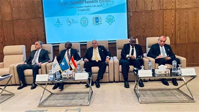 تعزيز العلاقات التجارية بين مصر والصومال.. فرص استثمارية وتعاون اقتصادي متبادل