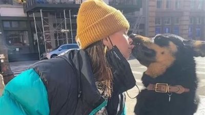 لعشاق الحيوانات.. احذر تقبيل الكلاب من الفم لهذا السبب 