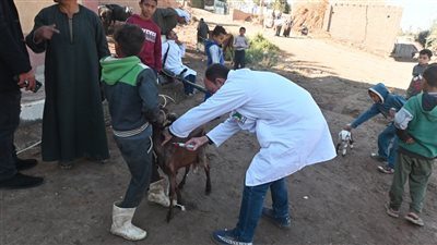 جامعة الفيوم تنظم قافلة طبية بيطرية لخدمة صغار المربين بقرية هوارة المقطع 