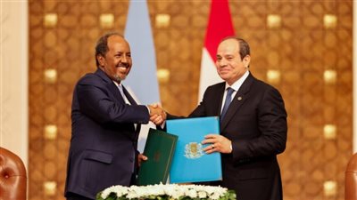 عفيفي: مصر لها دور كبير في عودة الاستقرار للصومال (فيديو)