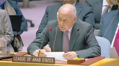 «جامعة الدول» تحذر مجلس الأمن من التصعيد الإسرائيلى