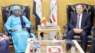 تعاون مصرى سنغالى فى البنية التحتية