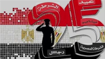 خبراء سياسيين: مصر تشهد تطورا أمنيا هائلا.. وشكلت حائط صد أمام الجرائم والإرهاب