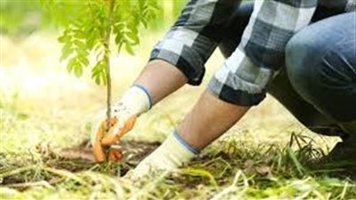 تحليل التربة ورقابة المصانع.. منظومة متكاملة لضمان جودة المخصبات