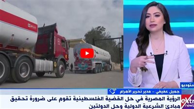 عفيفى: الثوابت المصرية لم تتغير منذ بداية التصعيد الإسرائيلي في غزة 