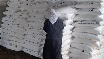 استجابة فورية.. زيادة كميات الأسمدة بجمعية الستاموتي الزراعية بالدقهلية 