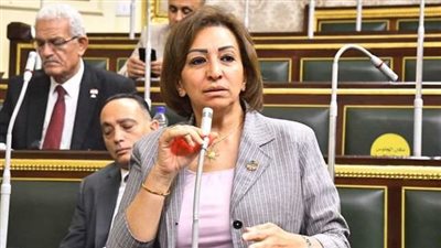 اتصالات النواب: منع التيك توك في مصر ليس حلاً