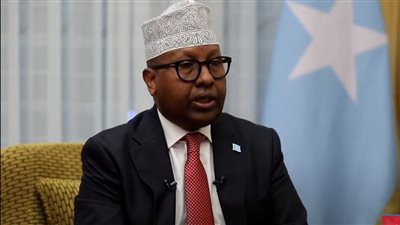 وزير خارجية الصومال: شعبنا يحتاج القوات المصرية إلى جانبه