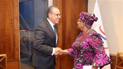 وزير الخارجية يؤكد على دور مصر في تهدئة الأوضاع بالمنطقة لتفادي حرب شاملة