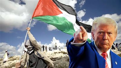 محافظات مصر تنتفض ضد تصريحات «ترامب»