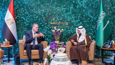 تعاون مصري سعودي لتعزيز كفاءة استخدام الطاقة وتحقيق الاستدامة البيئية