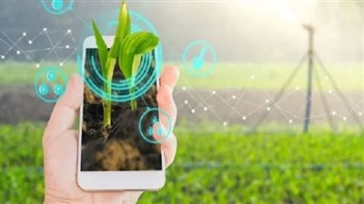 التحول الرقمي في القطاع الزراعي.. ثورة جديدة لدعم الثروة الحيوانية