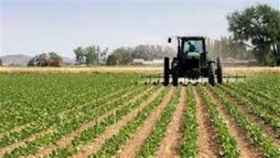 استراتيجية الدولة لترشيد المياه.. تطبيق تقنيات التسوية بالليزر في الزراعة