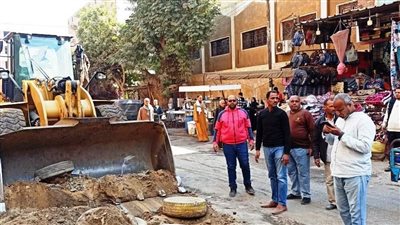 أسوان: تنفيذ أعمال النظافة العامة ورفع التراكمات والمخلفات 