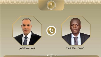 وزير الخارجية يبحث مع نظيره الجنوب إفريقي تعزيز التعاون المشترك والقضايا الإقليمية