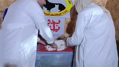 حصاد وأنشطة هيئة الخدمات البيطرية للحفاظ على الثروة الحيوانيّة خلال شهر يناير 