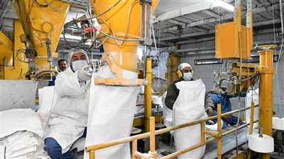 300 ألف طن الإنتاج المتوقع لمصانع سكر قنا الـ 3 الموسم الحالي 