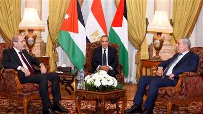 وزير الخارجية يلتقي بنظيره الأردني وأمين سر اللجنة التنفيذية لمنظمة التحرير الفلسطينية