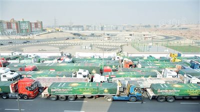 غزة فى قلب الأزهر