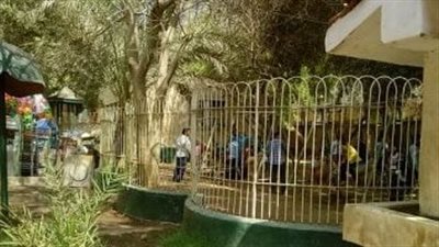 حديقة الحيوان بالفيوم.. متنفس طبيعي تواجه تحديات كبيرة