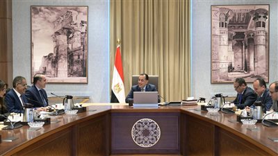 رئيس الوزراء يلتقي مسئولي 