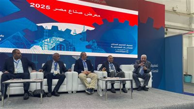 رئيس شعبة بناء السفن: ٢٠٠ مليار عوائد صناعة وإصلاح السفن سنويا 