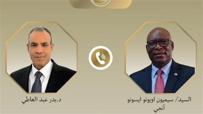 وزير الخارجية يبحث مع نظيره الإكواتوري تعزيز السلم والأمن في القارة الأفريقية