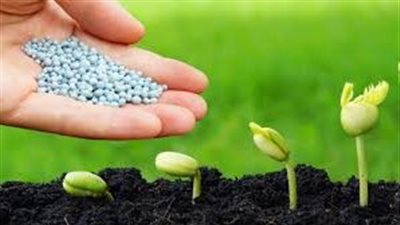 آليات جديدة لتوزيع الأسمدة ومنع التلاعب في السوق السوداء