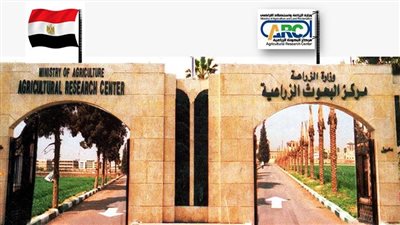 كيف يساهم مركز البحوث الزراعية في زيادة الإنتاجية وتقليص الفجوة الغذائية؟