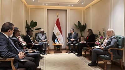 تعزيز التعاون بين مصر والصومال في الأمن الغذائي والتبادل التجاري