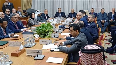 مجلس الجامعة العربية يدين محاولات تعسف 