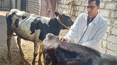 الطب البيطري بجامعة الزقازيق يوجه قافلة مجانيّة لـ «الرحمانية»