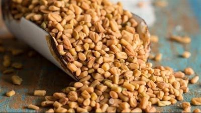 فوائد الحلبة لصحة الجسم| أبرزها يعالج تساقط الشعر