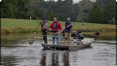 الصيد بالصعق الكهربائي في الشرقية: خطر يُهدد الثروة السمكية وصحة الإنسان