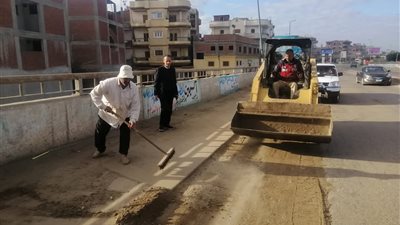 رفع 75 طن تراكمات قمامة بالبحيرة