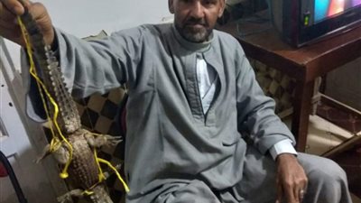 تفاصيل عثور صياد على تمساح نيلي في الشرقية