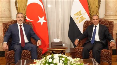 بيان مصري تركي مشترك: تهجير الفلسطينيين يهدد الاستقرار ويؤجج الصراعات