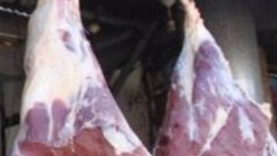 تحرير 5 محاضر ضد جزارين بالبحيرة ..لهذا السبب 